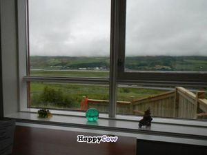 Nice view at Silva in Eyjafjardarsveit