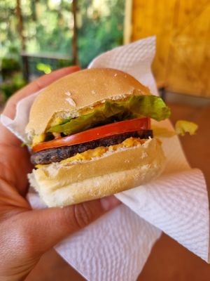 Hamburguer vegano de feijão at Ecovila Coração da Mata in Brumadinho