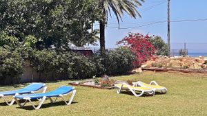 Part of the garden at Vegan Life Energy - Beach Breaks in Denia