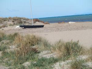 The Beach at Vegan Life Energy - Beach Breaks in Denia