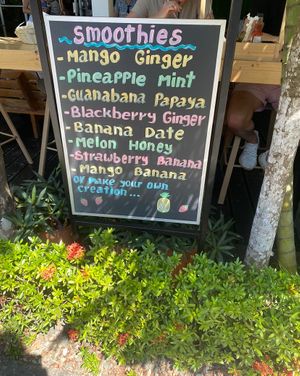 Smoothie menu  at Falafel Bar in Manuel Antonio