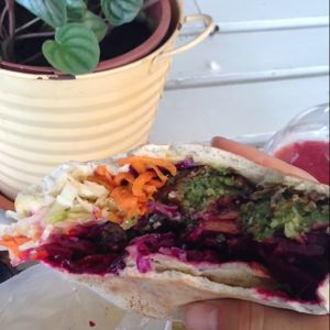 got my daily vegan falafel at Falafel Bar in Manuel Antonio