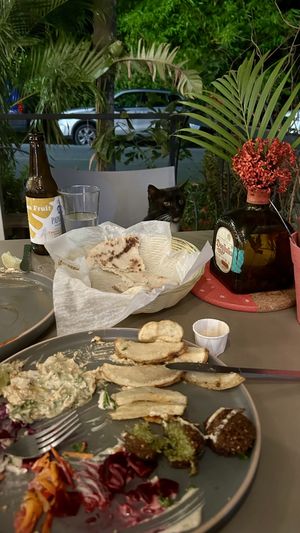 House kitty chose to join us😄 at Falafel Bar in Manuel Antonio