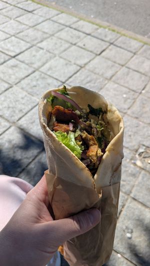  at Lion et Papillon in Tours