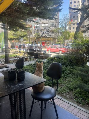   at Coffee Charlie in Istanbul