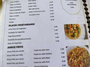 Vegetarian Menu at Restaurante Los Hermanos in El Valle De Anton