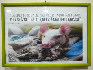  at Restaurante AY NI in Sucre