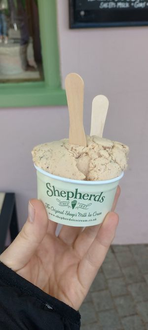 Vegan peanut butter & chocolate ice cream at Shepherds Ice Cream in Abergavenny