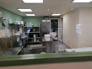 Made on the premises at Shepherds Ice Cream in Abergavenny