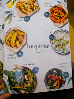 vegan food is marked by green plant at Turquoise in Prague