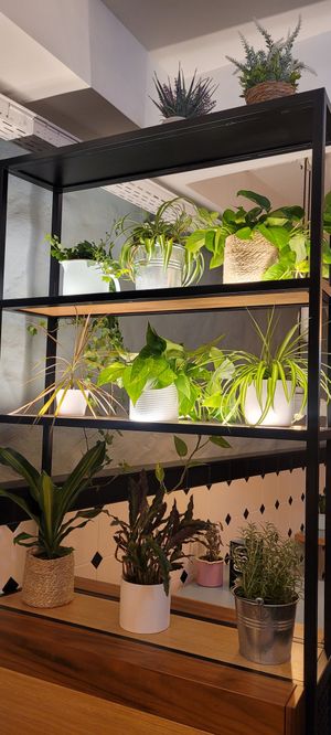  at Swing Kitchen in Zurich