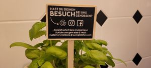  at Swing Kitchen in Zurich