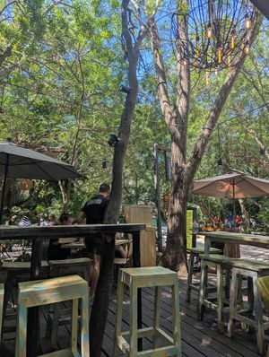 Patio at Sanchez in Playa Del Carmen