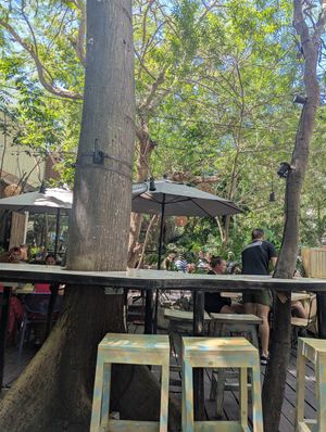 Outdoor seating at Sanchez in Playa Del Carmen