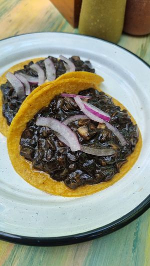 Mushroom tacos (would skip) at Sanchez in Playa Del Carmen