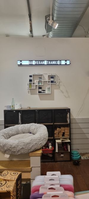  at MooShoes in New York City