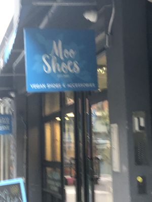 Front door  at MooShoes in New York City