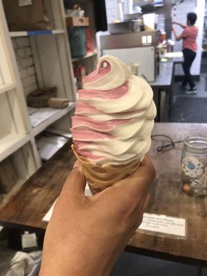 Black current and vanilla soft serves   at MooShoes in New York City