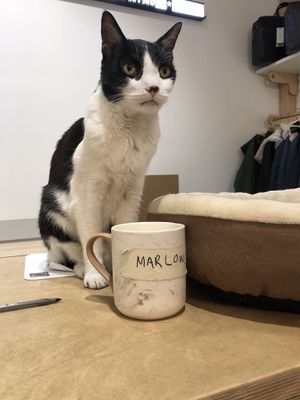 Phenomenal sales staff! at MooShoes in New York City