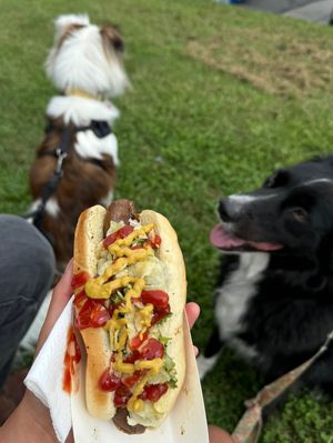 yummy dawg feat. my dogs  at Yeah Dawg - Food Cart in Brooklyn