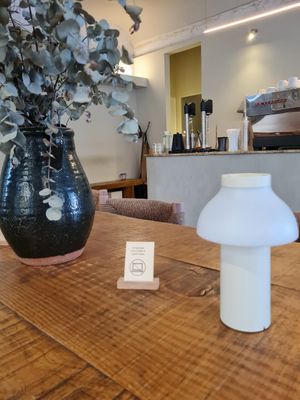 Inside at Swallow - Specialty Coffee & Houseplants in Alicante