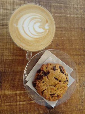  at Swallow - Specialty Coffee & Houseplants in Alicante