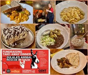 Benefiet voor dierenasiel Sulala in Gaza met catering van Gewoon.Anders in De Salopette at De Salopette in Ghent