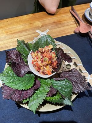   at Dana Vegan House in Hanoi