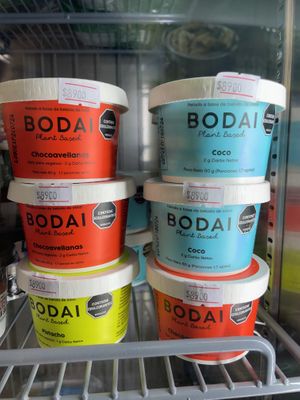 Ice cream  at Nutri Light in Medellin