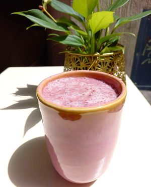  at Bio Fred in Geneva