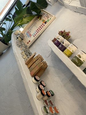   at Bio Fred in Geneva