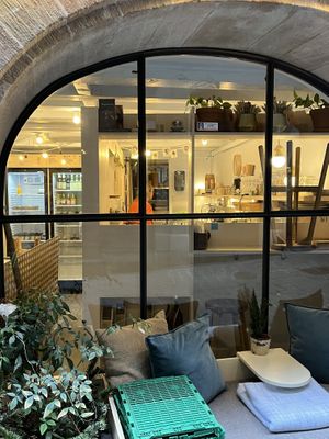   at Bio Fred in Geneva