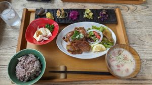 The vegan meal (post modification). at Komedoko Shokudo - こめどこ食堂 in Hiroshima