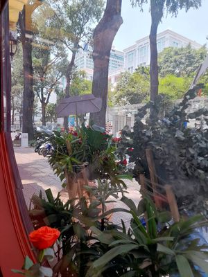 Outside at Hoi An Vegan in Ho Chi Minh City