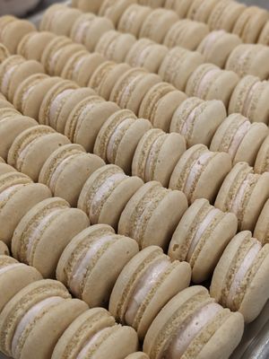 Macaron Army at Drink Me! Tea & Treats in Tempe