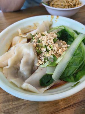 Dumplings ~ Mar 25 at Su Shan Mian - 素山面素食 - 文殊院店 in Chengdu