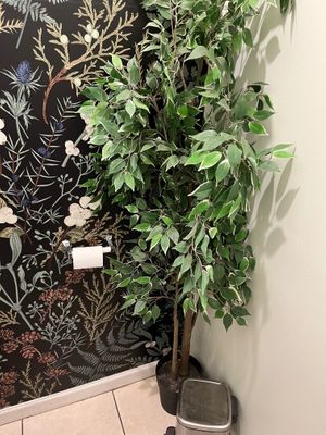 Plant in the bathroom at The Power Plant Cafe  in Jersey City