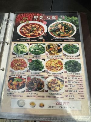 Mostly veggie menu page  at Kainanki in Tokyo