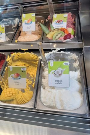 Vegan labelled ice cream at The Gelatist - Corso  in Rome