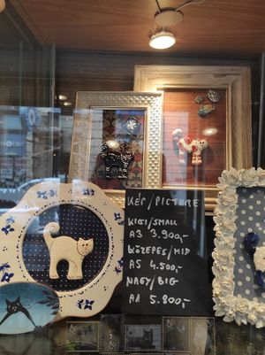 Art at Cat Café in Budapest