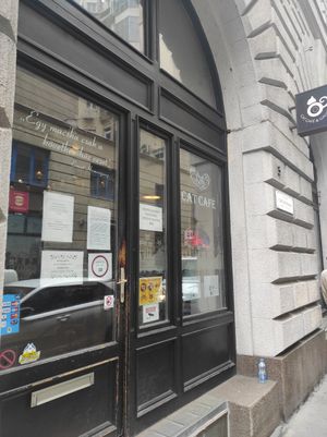 Exterior at Cat Café in Budapest