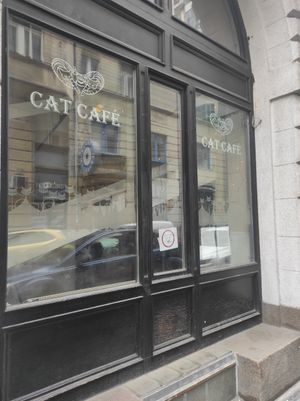 Exterior at Cat Café in Budapest
