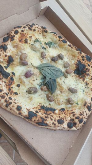  at Officine19 in Mallorca