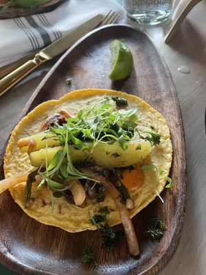 Chayote taco  at Cantina Monarca in Bellevue