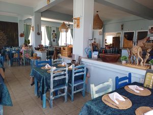 Large indoor and outdoor areas at Juleyman's in Tatlisu