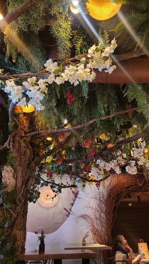  at The Treehouse by Superchulo in Madrid