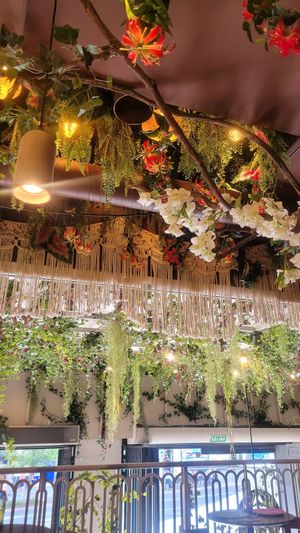  at The Treehouse by Superchulo in Madrid