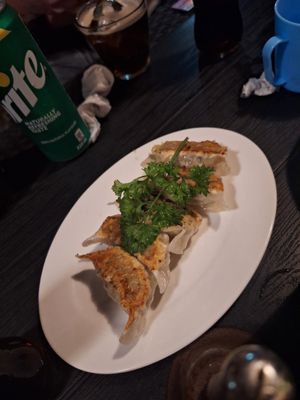 Vegane Gyoza (waren auch sehr lecker) at Udzuki in Panglao
