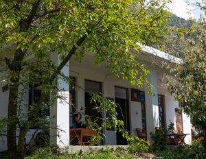 Bakery at Backwoods Bakery in Dharamshala