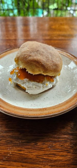 Fruit scone with whipped cream and apricot jam at Backwoods Bakery in Dharamshala